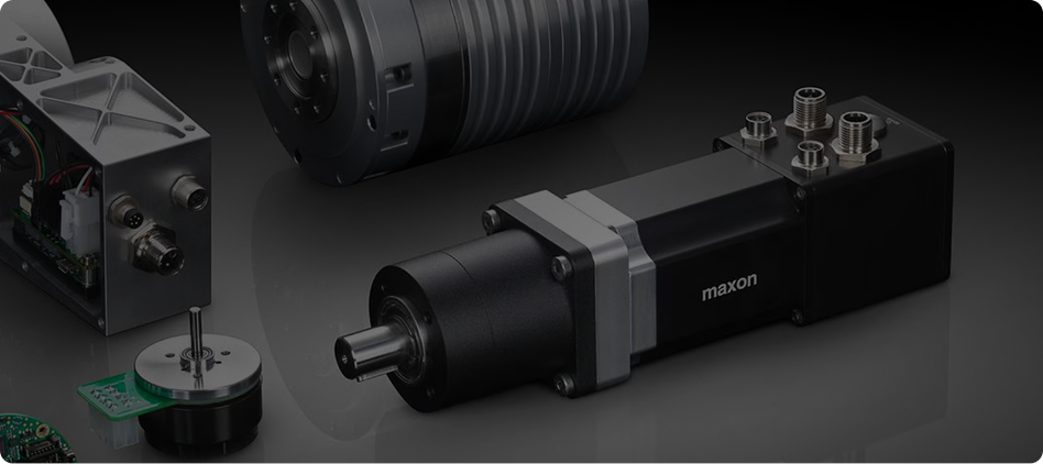 Découvrez toutes nos références en livraison rapide